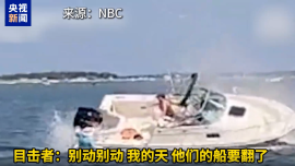 现场视频丨鲸鱼撞船致1人落水 美新泽西州海岸现惊险一幕
